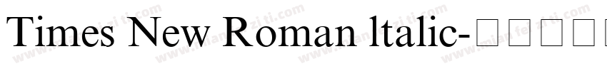 Times New Roman ltalic字体转换